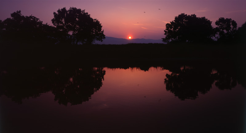 吉野川第十堰付近