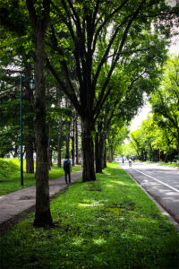 北海道大学構内